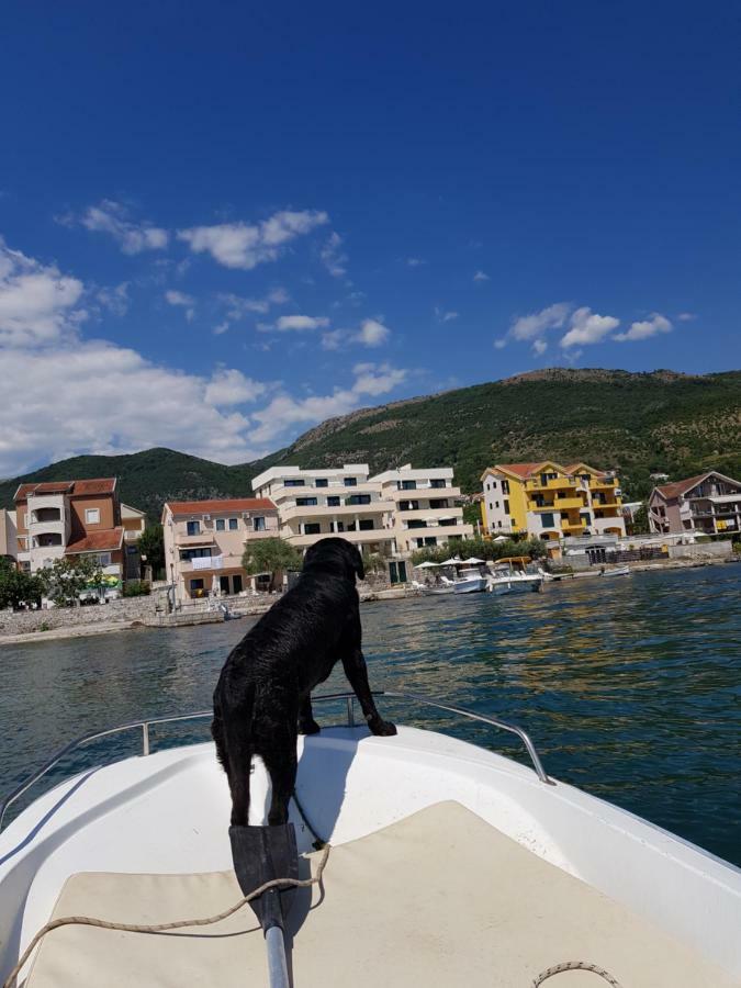 Daire Obala Tivat